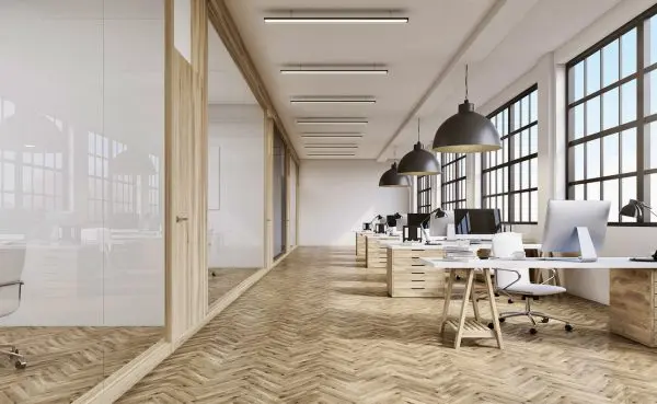 Front,view,of,an,office,interior,with,a,row,of