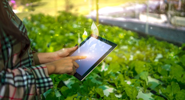 woman farmer with tablet