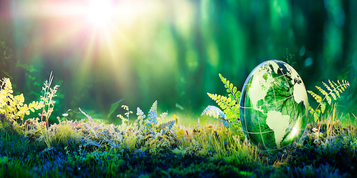 Environment,concept, ,globe,glass,in,green,forest,with,sunlight