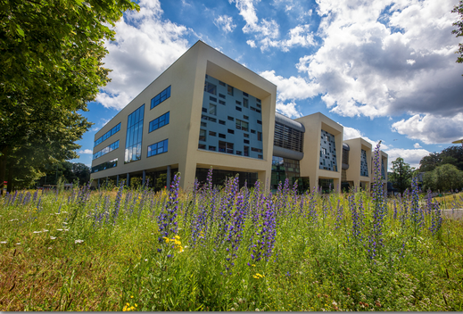 Radboud University HubStar Case Study